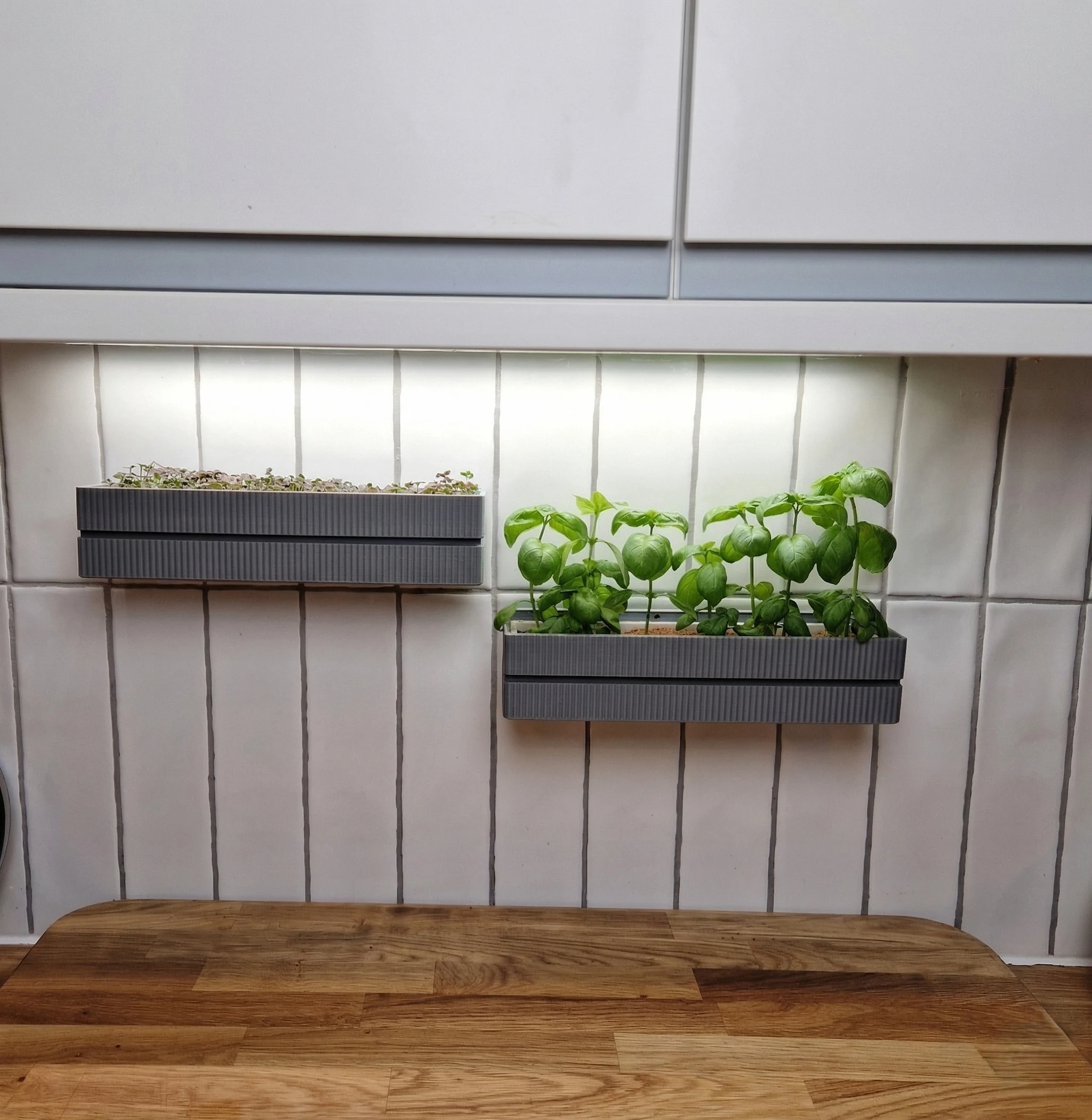 Linea Grow Module mounted under kitchen cabinet